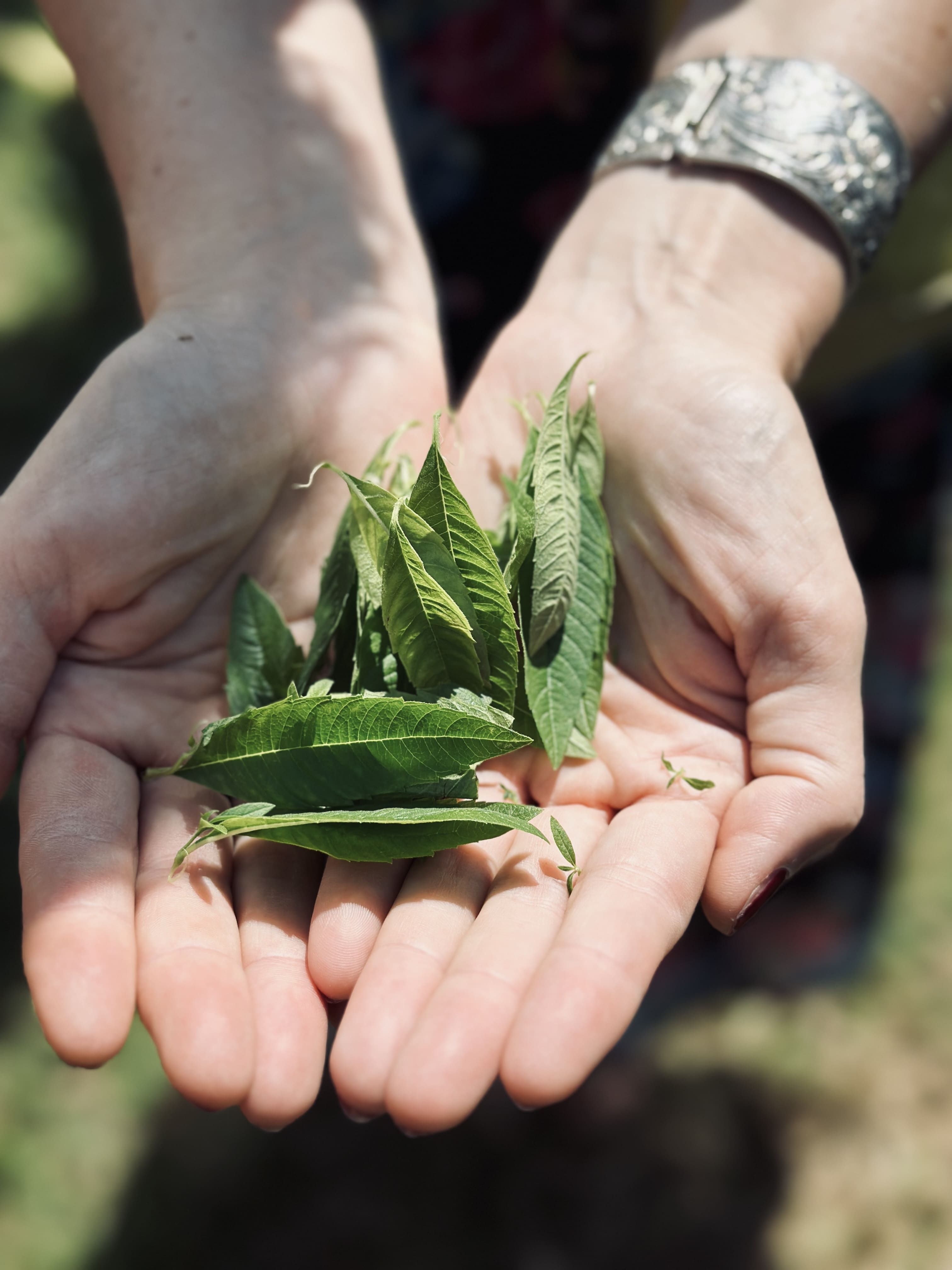 Envie d’une sortie originale à Yssingeaux ? Visitez La Vertueuse et profitez d’une dégustation conviviale.